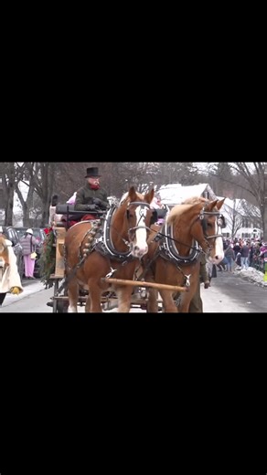 Woodstock Community Television on Instagram: "🐎 Wassail Horse Parade 2025 🐎 Enjoy this beloved highlight of Woodstock, Vermont’s Wassail Weekend. For many, Wassail Weekend wouldn’t be complete without the Horse Parade. Founded in the late 1980s through a true community effort, the parade features equestrians in festive costume, beautiful horses, and decorated wagons filled with carolers and musicians as they wind through the village and around the Town Green. A celebration of tradition—past, p