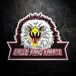 Explaining Eagle fang karate