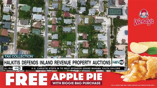 Halkitis defends Inland Revenue property auctions | Eyewitness News Bahamas