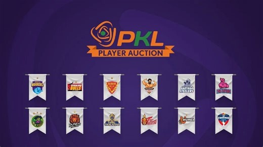 Pro Kabaddi 2024 Auction: Remaining purse of all 12 PKL teams after Day 1