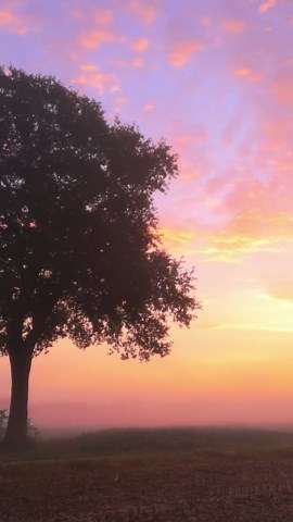 自然の壮大さ: 上空から見た穏やかな風景、パート 2。