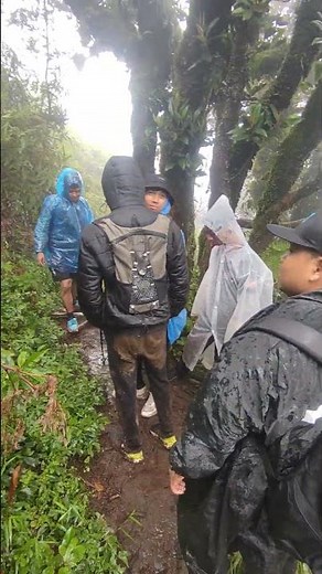 Pendakian Gunung Batukaru, Dari Hutan Hingga Puncak