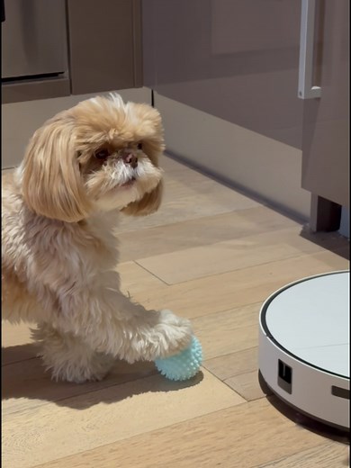 Samsung Bespoke Jet Bot Combo AI: Smart Cleaning Solution