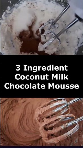 3 Ingredient Coconut Milk Chocolate Mousse Recipe