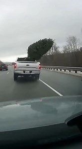 CHRISTMAS TREE CAUSES CRASH ON HIGHWAY! --Statesboro, GA Dec 2025 Dash-cam footage shows an incredible series of events on the Highway. A Christmas tree blows out of a veering pickup truck that lost control on the highway. As it ricochets onto the inside shoulder, a car trying to exit early collides with the tree, knocking it under another car, and chaos insues. This is an entertaining AI recreation of an actual situation that occured, reminding us always to exercise caution and tie down loose i