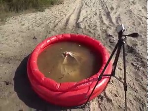 EXPERIMENT UNDERWATER! Our swimming pool explode!!! #experiments | Star Gang