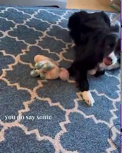 300K views · 15K reactions | Casper has come up with a brand new game...and of course Simone the unwilling test subject | TeamCasp47 | Facebook