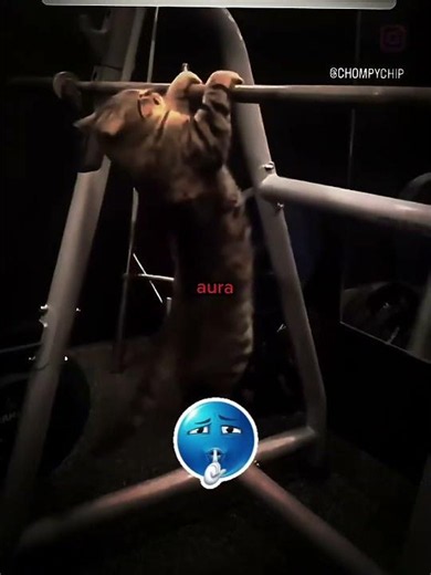 TROLL FACE EDIT | Cat Aura #trollface #english