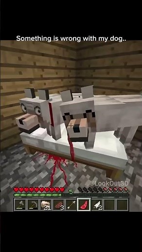 Something wrong with my dog…. #dog #minecraft #lookout3d ￼