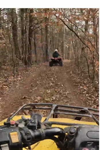 Cruising Through the Forest! These ATV riders cruise through the forest and take in the beautiful scenery on a new trail! #fullthrottleatvaction #400ex #sendit #quad #atv