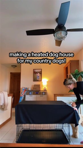 DIY Heated Dog House for Winter Comfort
