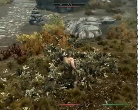 SkyTEST - Realistic Animals and Predators