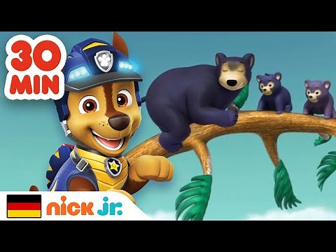 PAW Patrol | 30 MINUTEN voller Rettungen niedlicher Tiere | Nick Jr. Deutschland