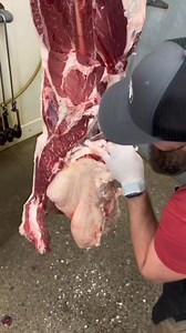 5.5K views · 84 reactions | Beef Suet #butcher #educational #p... #soap #beef #suet #candles #tallow | seth perkins | Facebook