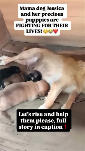 Urgent help needed please 🙏 Thanks