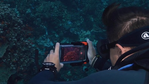 2.1K views |  Divevolk Global – Externer Auslöser fürs...