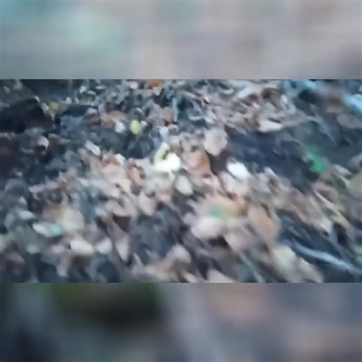 New Alien Sightings The US Military Doesn't Want You To See!#ufosightings | วสันต์ ใจคนอง