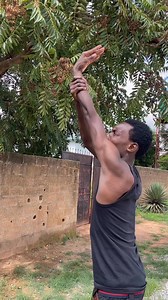 12K views · 88 reactions | Transform 料烙 #obviousthabonebreaker #thebonelesssquad | ThE Boneless Squad | Facebook