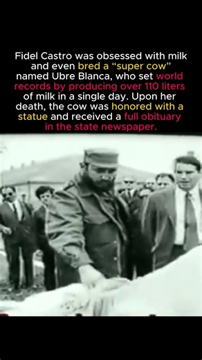 The Dictator Who Built a Statue for a Cow #shorts