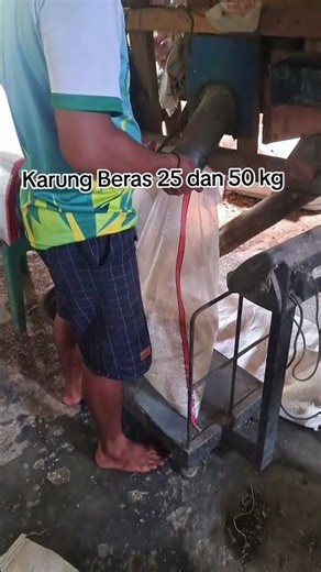 Karung Beras Polos 25 kg