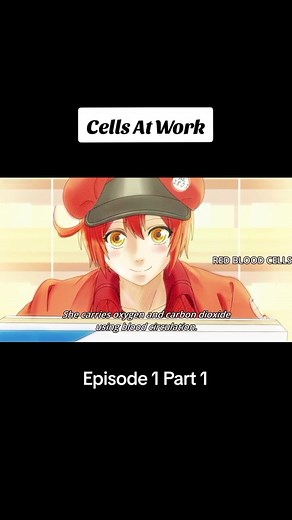 Cells At Work: Episode 1 Part 1 Overview