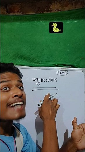 Gynoecium Class 12 Biology | Structure, Parts & Function Explained in Hindi | NEET & CBSE Board 2025