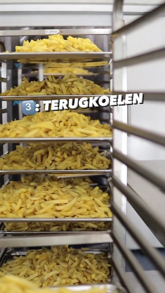 Het proces van Friet in Vijf Stappen