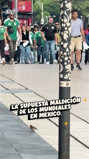 A man suffers a heart attack just as he enters the stadium for the Mexico vs South Africa opening...