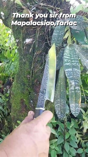 5.6K views · 43 reactions | #Directmessageforfasttransaction #feelfreetosendusamessage #ThankYouForTrustingUs #salamatposapagiintay #customizedblade #follower #Suki | Jojo's Custom Blades PH | Facebook