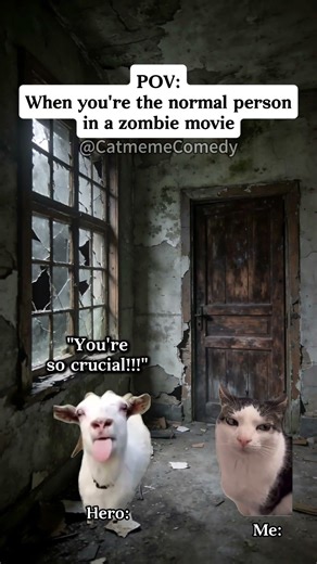 Cat meme Comedy😺When you're the normal person in a zombie movie #cat #shorts #funny cat videos