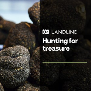 168K views · 553 reactions | Can you guess what's happening in this video? ​ ​  Watch the story on Landline Sunday. | ABC Landline | Facebook