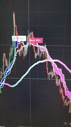 (24h)🔴Free Live Trading Signals #watchnow✅ #livetrading #Scalping #algo #ai #free