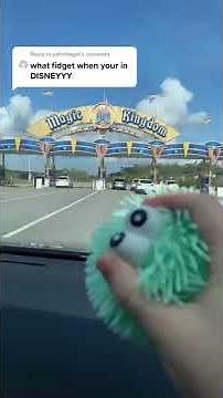 Best Fidgets for Disney! | Mrs. Bench #shorts