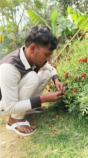 Chikna khane Ke😂👍😂 liye#mrsalmuddin #vairlvidoe #funnycomedy#comedyvideos #shortvideo OBJ