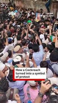 How a Cockroach became the symbol of youth protest in Delhi? | BBC News India