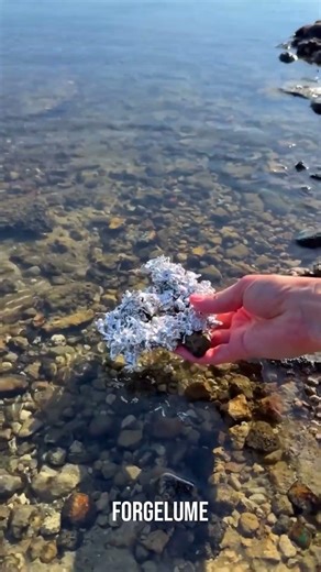 What happens when molten metal hits water? 💥 #metaltrick