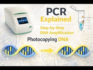PCR | Polymerase Chain Reaction | Practical Lab Tutorial