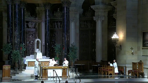 Livestream from the Cathedral of Saint Paul MN Livestream from the Cathedral of Saint Paul in Saint Paul, MN | Cathedral of Saint Paul, National Shrine of the Apostle Paul