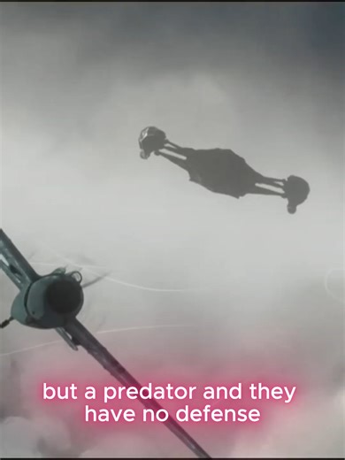 Predator part 3