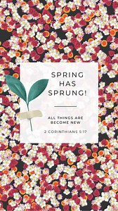 Spring has sprung, and it is a time of new beginnings! Let's use this time to take back the peace the devil has stolen and embrace hope and our future. Here are 3 steps we can take to leave the past behind and walk into a place of BLESSING: 1️⃣ Leave the Past Behind By Receiving Emotional Healing “Surely He has borne our griefs and carried our sorrows; yet we esteemed Him stricken, smitten by God, and afflicted.” (Isaiah 53:4, NKJV) 2️⃣ Leave the Past Behind By Forgiving and Receiving Forgivenes