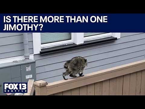 Is there more than one Jimothy? | FOX 13 Seattle