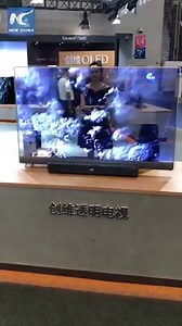 Amazing see-through TV is window to tomorrow | China Xinhua News