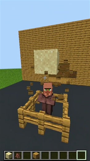 Don’t Drop Sand on Villager in Minecraft! 😱