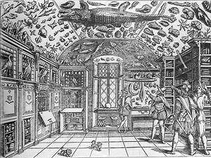 Ferrante Imperato - Alchetron, The Free Social Encyclopedia