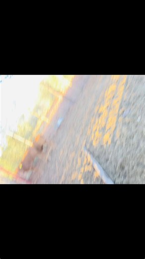 Understanding Farming in Communal Land Systems