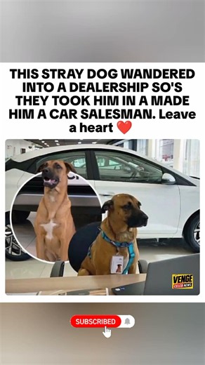 Employee of the year! 🐶💼 Dealership goals? 👇#Shorts #Viral
