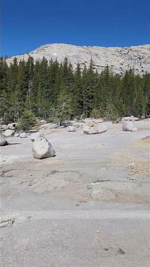 Yosemite Backcountry #nature #explore #yosemite #nationalpark #wilderness #adventure #hiking #hike