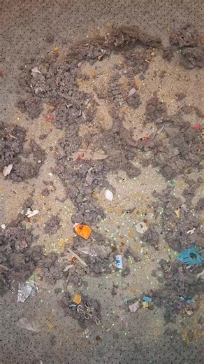 Ultimate Vacuuming ASMR Experience for Cleanliness Lovers