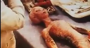 Unearthed Evidence? Images of Alien Corpses Surface Online!