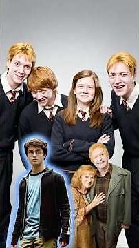 The Harry Potter Theory: The Weasleys are probably one of the biggest winners in Harry Potter.